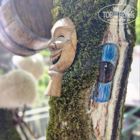 фото из отзыва ID 2686724