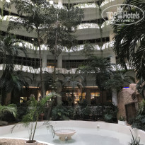 фото из отзыва ID 2686731