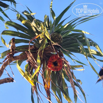 фото из отзыва ID 2686733