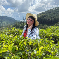 фото из отзыва ID 2686733