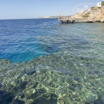 фото из отзыва ID 2686740