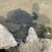 фото из отзыва ID 2686739