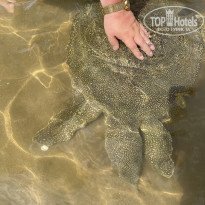 фото из отзыва ID 2686739