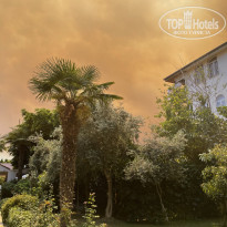 фото из отзыва ID 2686739