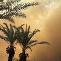 фото из отзыва ID 2686739