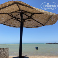 фото из отзыва ID 2686819