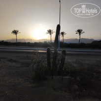 фото из отзыва ID 2686817