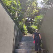 фото из отзыва ID 2686838