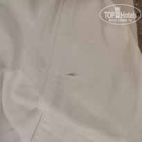 фото из отзыва ID 2686838