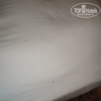 фото из отзыва ID 2686838