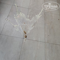 фото из отзыва ID 2686838