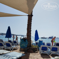 фото из отзыва ID 2686896