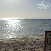 фото из отзыва ID 2686930