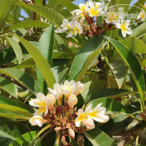 фото из отзыва ID 2686930