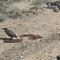 фото из отзыва ID 2686930