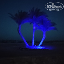 фото из отзыва ID 2686930