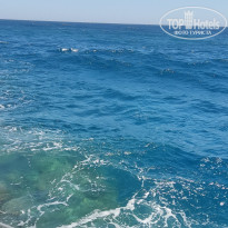 фото из отзыва ID 2686930