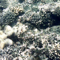 фото из отзыва ID 2686930