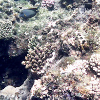 фото из отзыва ID 2686930