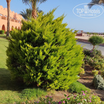 фото из отзыва ID 2686930