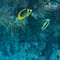 фото из отзыва ID 2686956