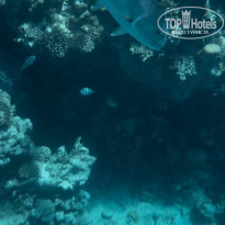 фото из отзыва ID 2686956