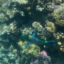 фото из отзыва ID 2686956