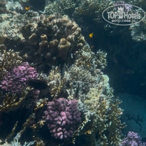 фото из отзыва ID 2686956