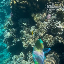 фото из отзыва ID 2686956