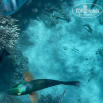 фото из отзыва ID 2686956