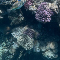 фото из отзыва ID 2686956