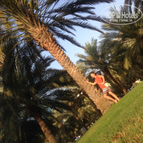 фото из отзыва ID 2686999