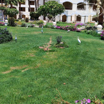 фото из отзыва ID 2687066