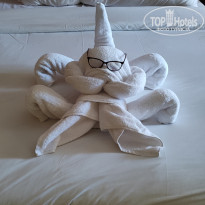 фото из отзыва ID 2687066