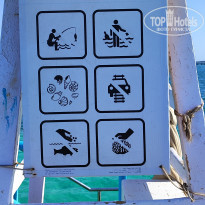 фото из отзыва ID 2687066