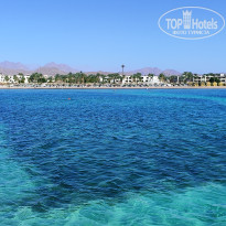 фото из отзыва ID 2687066