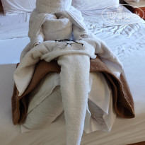 фото из отзыва ID 2687066