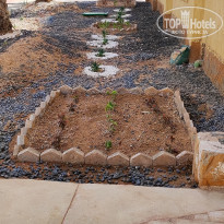 фото из отзыва ID 2687066