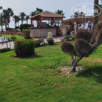 фото из отзыва ID 2687066