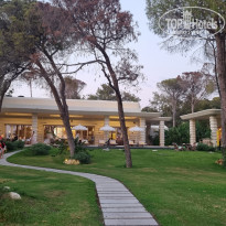 фото из отзыва ID 2687095