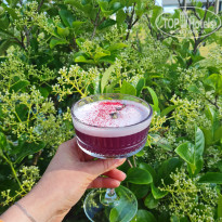 фото из отзыва ID 2687136