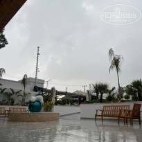 фото из отзыва ID 2687265