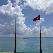 фото из отзыва ID 2687256