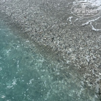 фото из отзыва ID 2687256