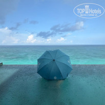 фото из отзыва ID 2687284