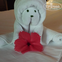 фото из отзыва ID 2687284