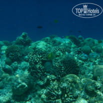 фото из отзыва ID 2687284