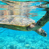 фото из отзыва ID 2687284