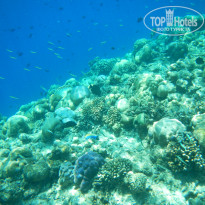 фото из отзыва ID 2687284