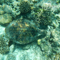 фото из отзыва ID 2687284